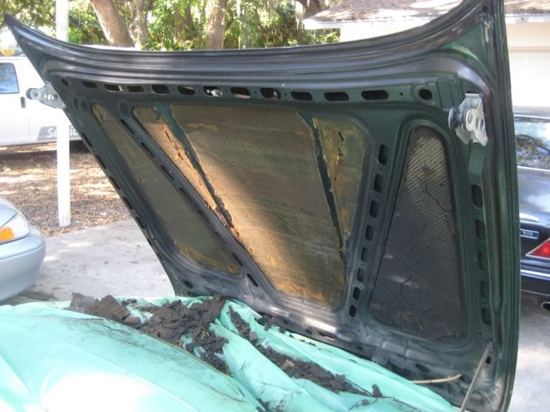 Replacing Hood Liner/Insulation R3VLimited Forums